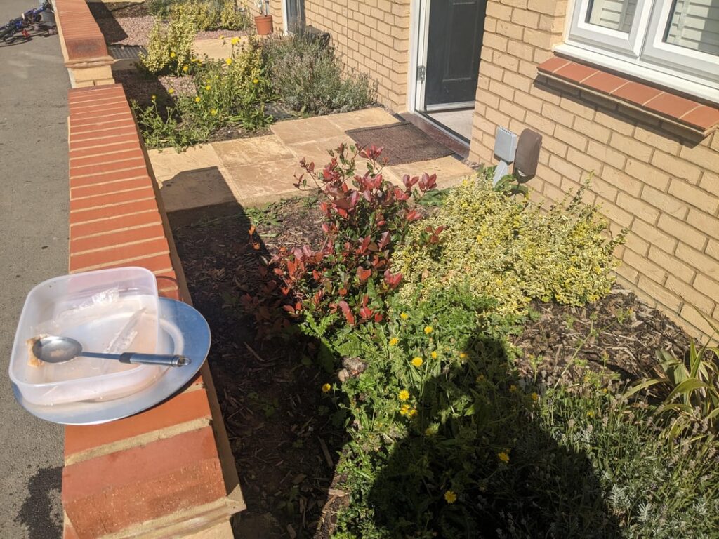 What can I put in my front garden, it gets lots of sun but I'm currently losing the battle against weeds. I would like to plant some new flowers that will continue to grow.
