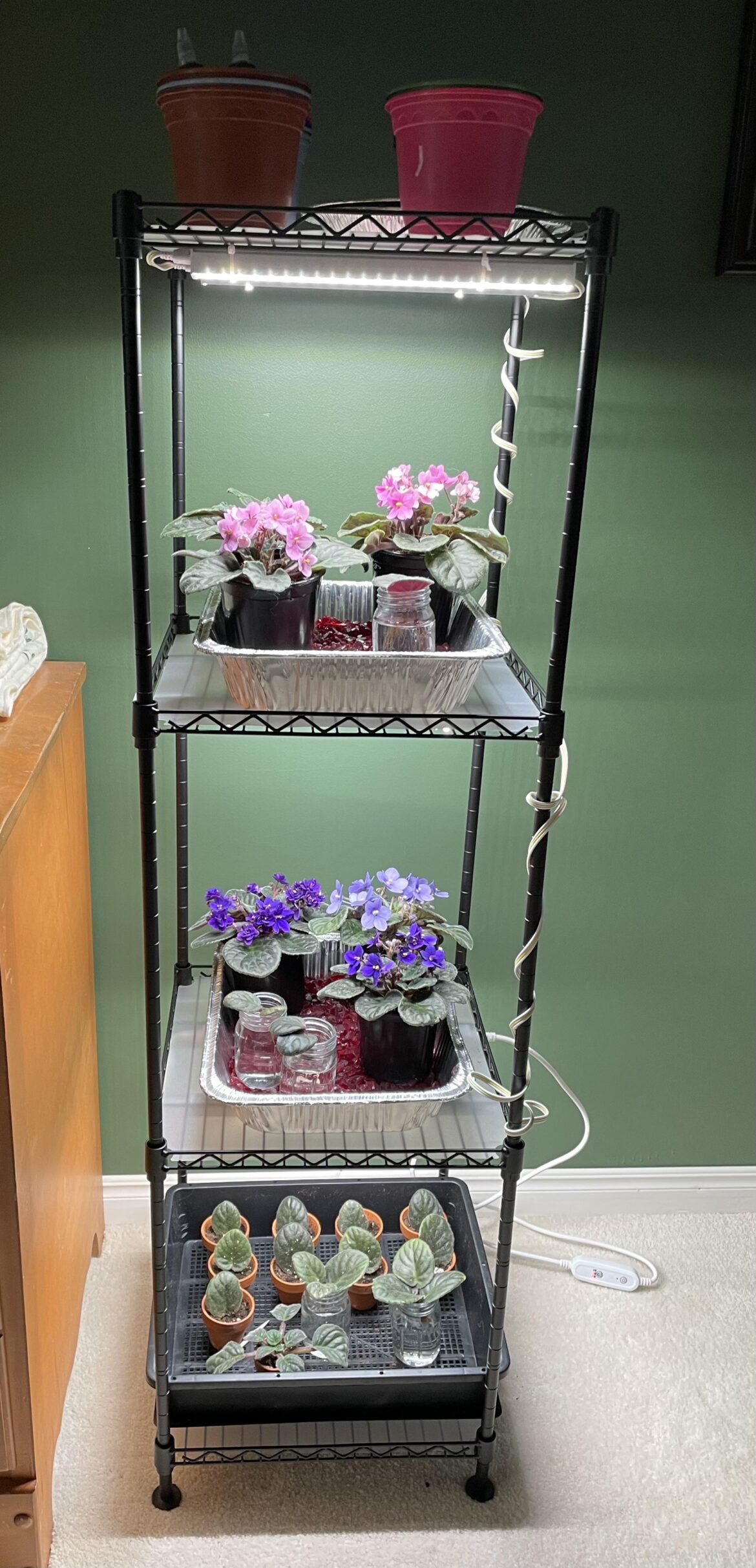 Grow Light Shelving