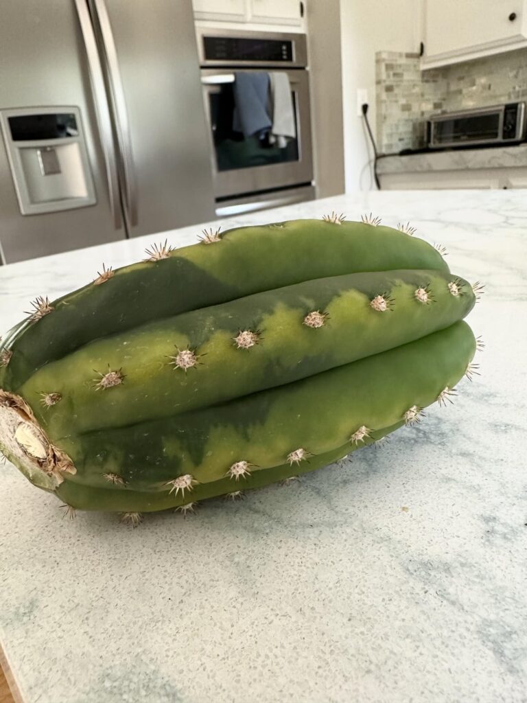 Think I got a new favorite.. Just got this in the mail today 🤯