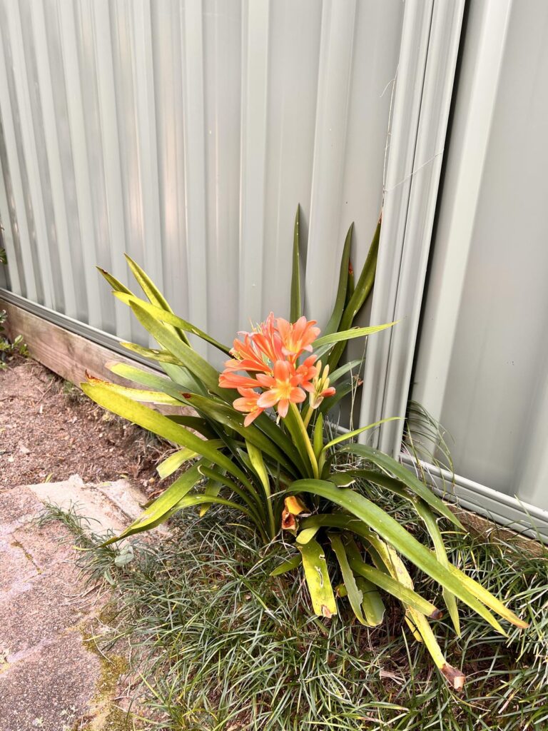 Anyone know the name of these guys?