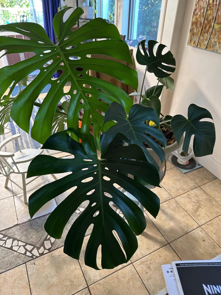 How to straighten this guy out How to straighten this guy out