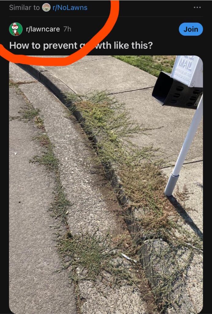 Really Reddit? Is it that similar?