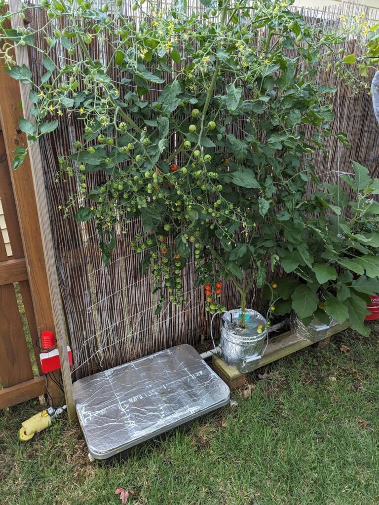 Harvesting Abundance: Thriving Hydroponic Bounty of Tomatoes, Cucumbers, Eggplants, and Peppers