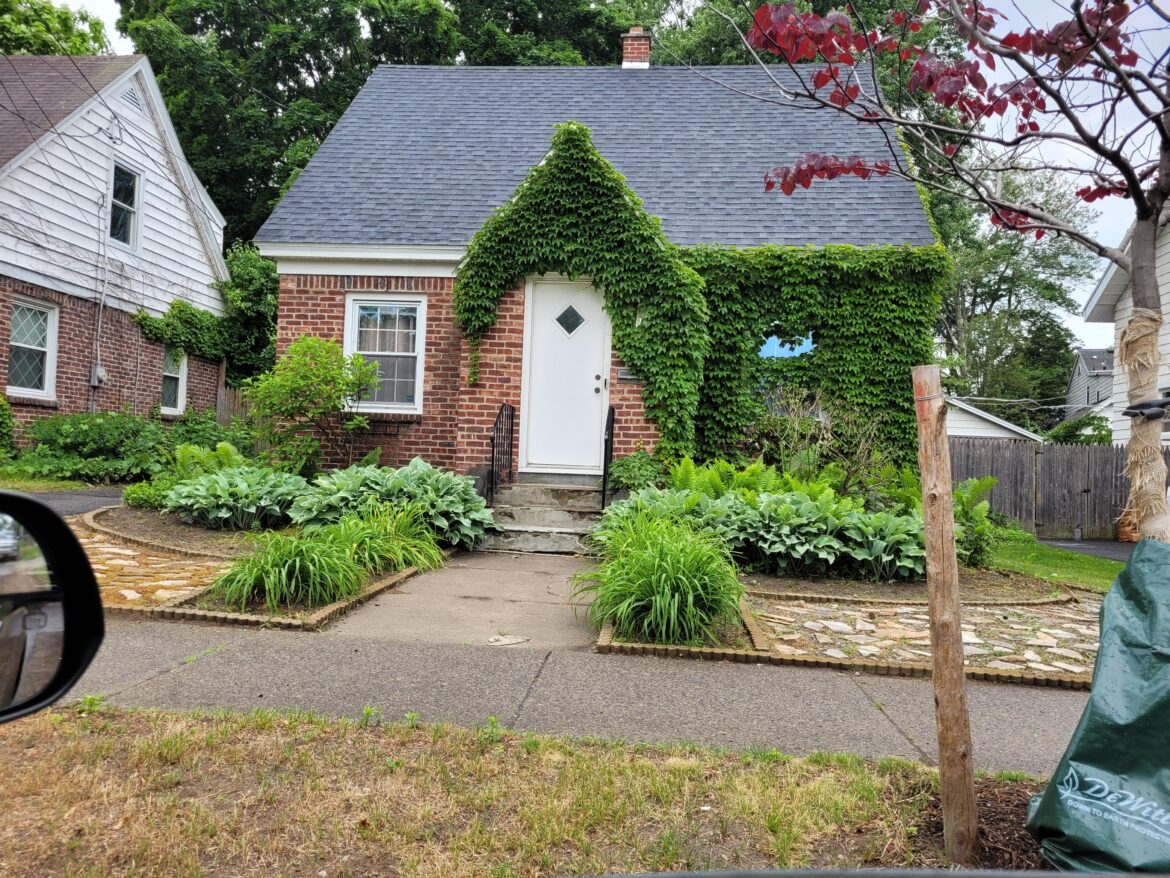 Moss garden update NY 5b Moss garden update NY 5b