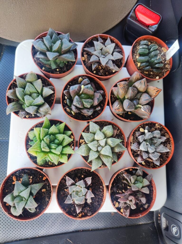 Visit to favourite nursery