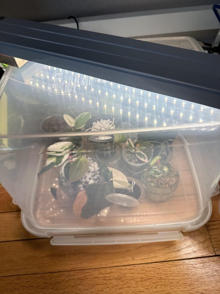 Prop box with a fan vs without