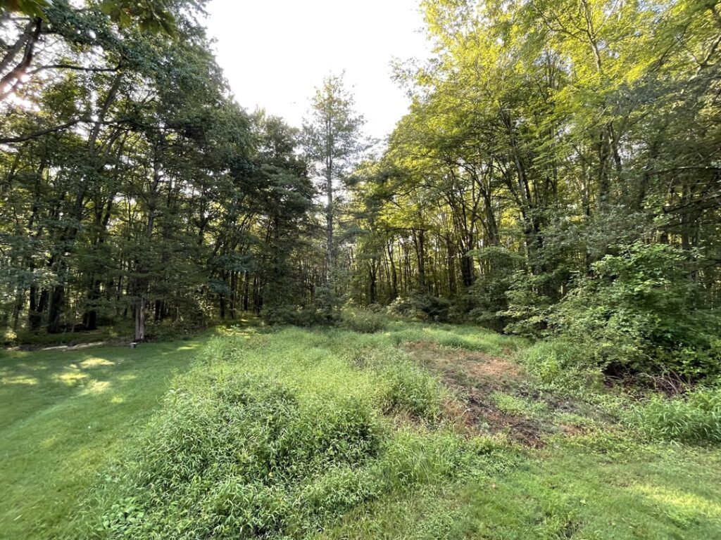 Advice needed. I’m looking to reclaim this old garden area. Roughly 30’x70’. Thick with horse tail and other weeds. I know it will be a process but do I spray or till?
