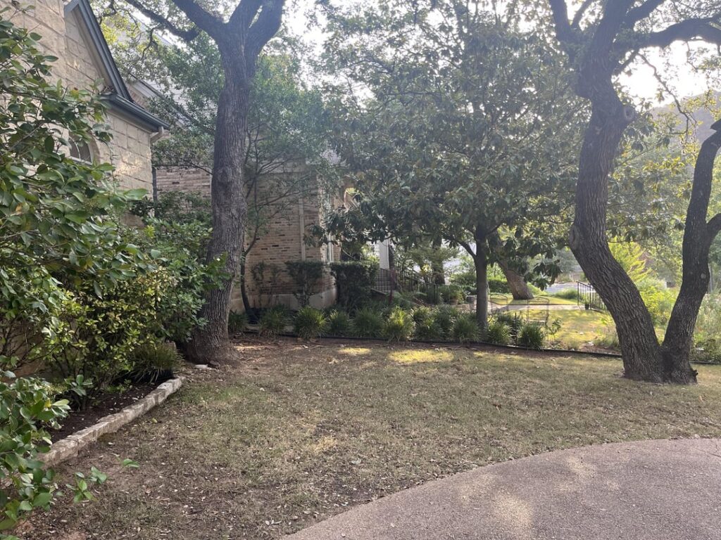 Can I add a gravel parking spot between these trees?