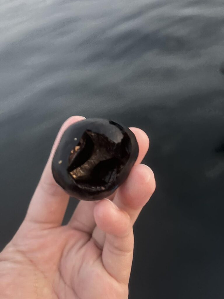 What's this black hollow irregular egg-ish rock-shaped object?