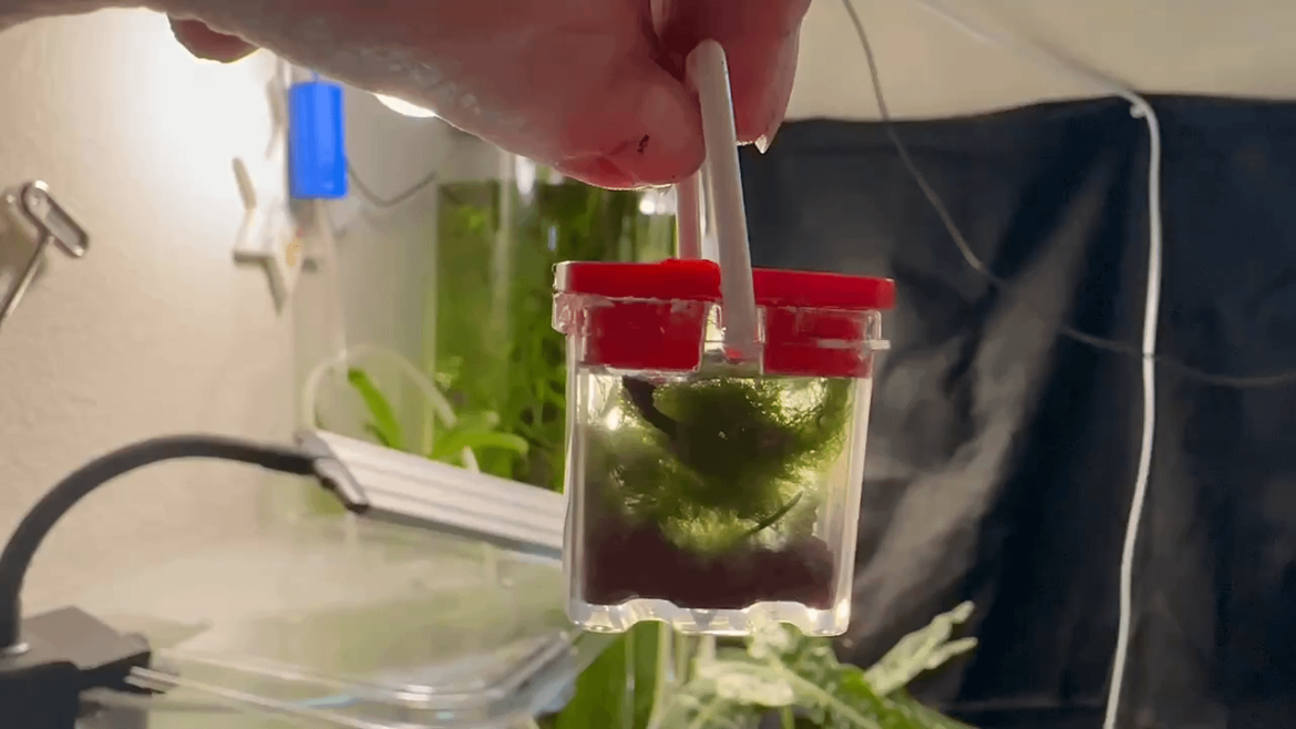 I resulted in using an entire bucket for an ecosphere!