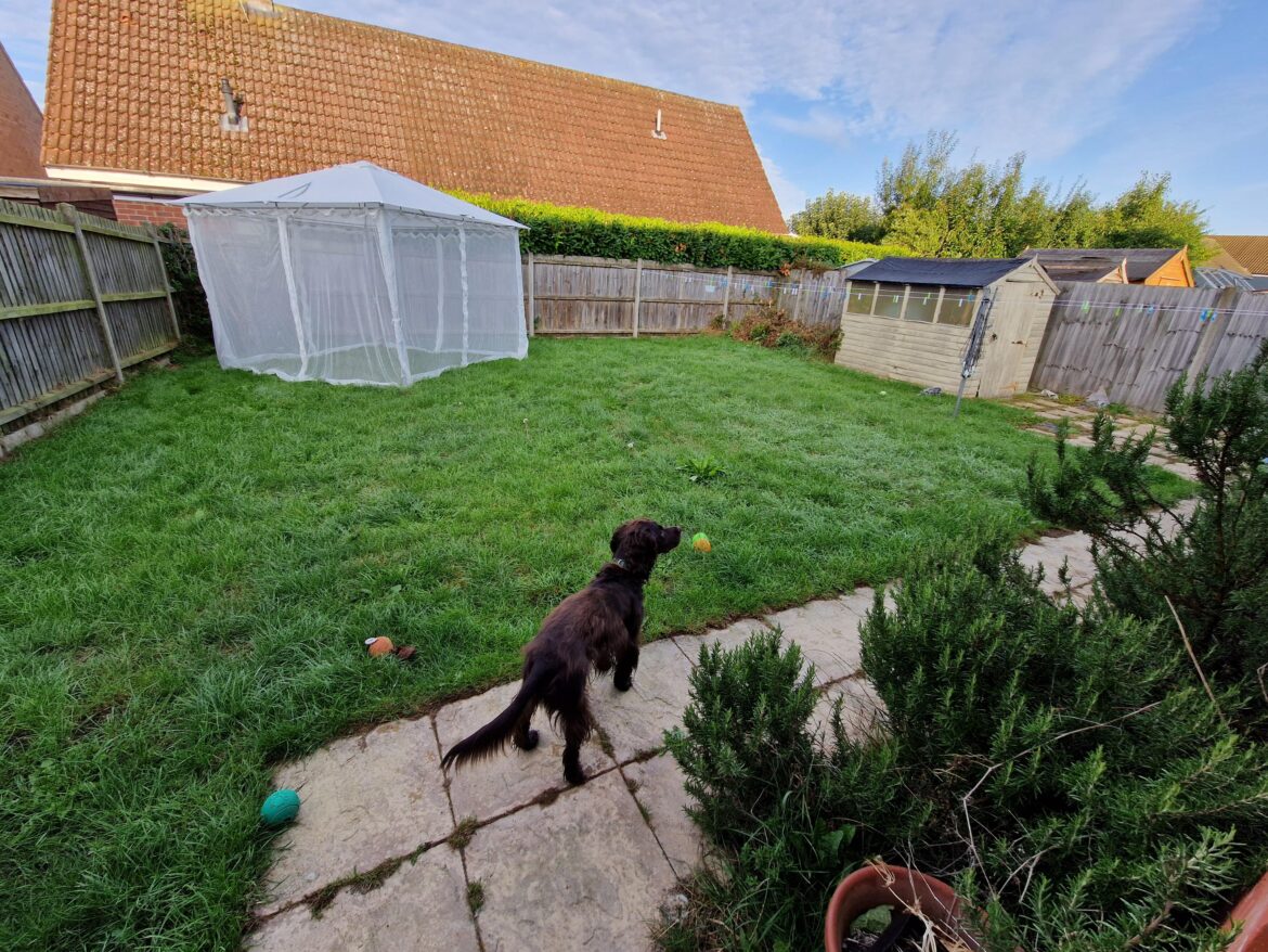 Help I’m stuck! What would you do with this? Help I'm stuck! What would you do with this?