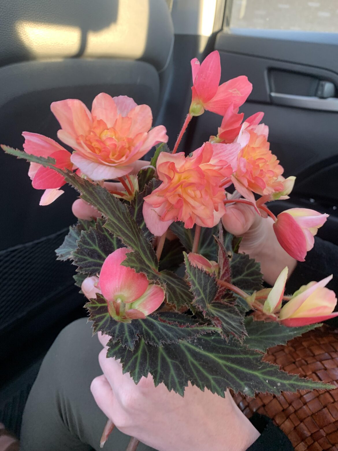 just went in our second lifting trip!