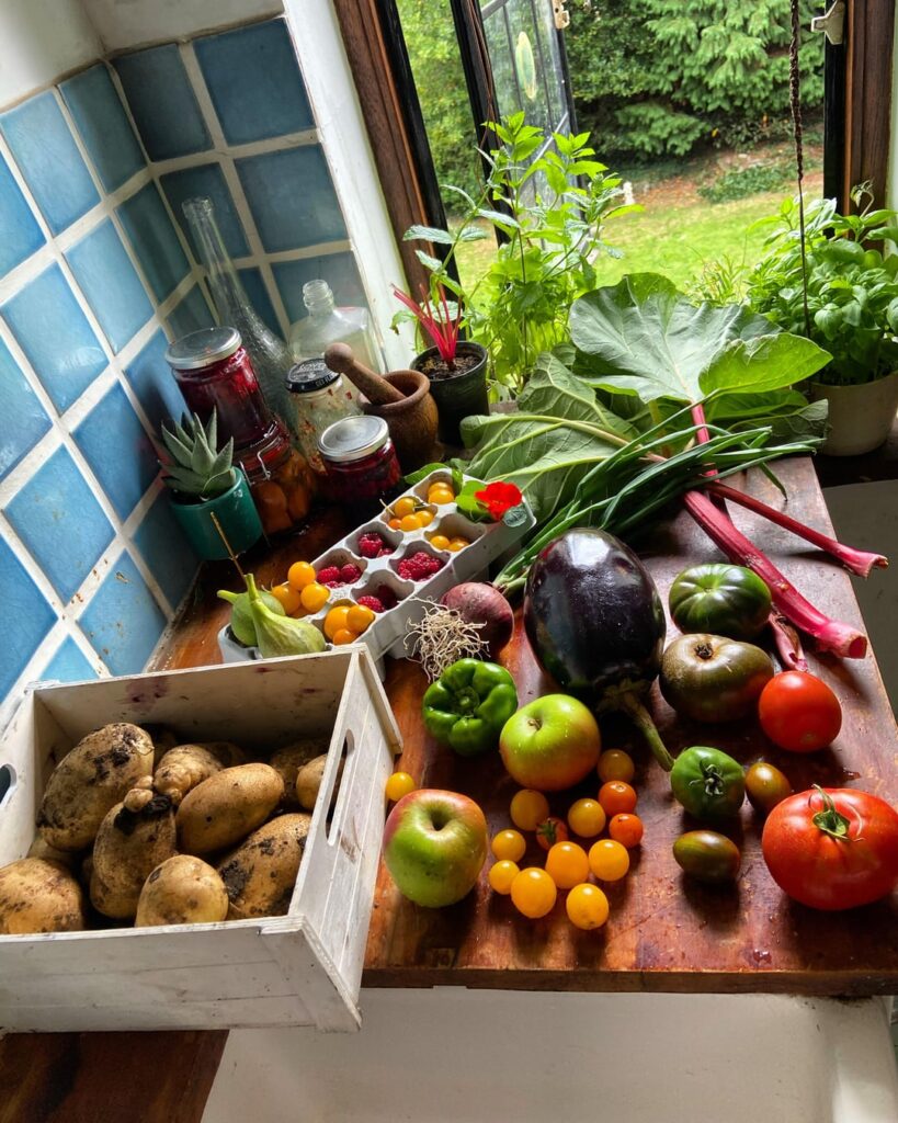 First year allotmenting harvest