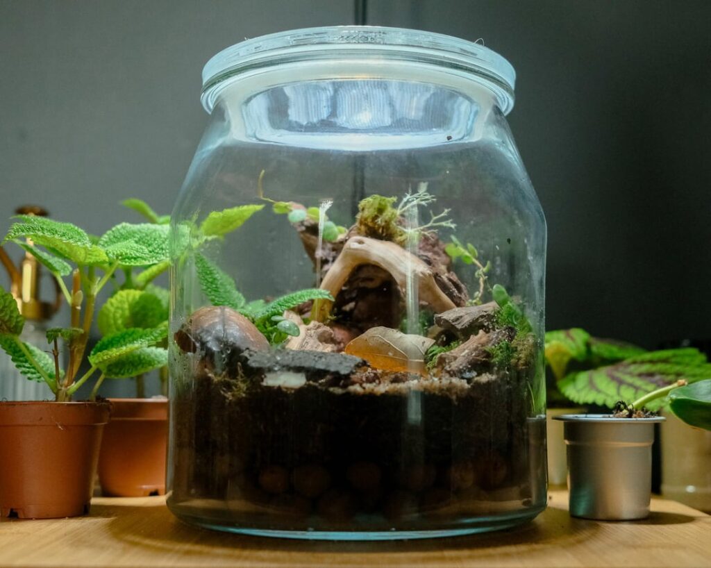 My 2nd build with Fern/Cap moss. Starting to get the hang of this.