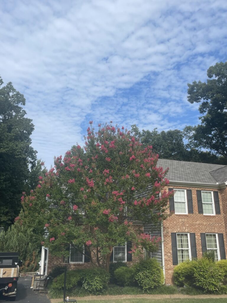 Does this need to be trimmed down?