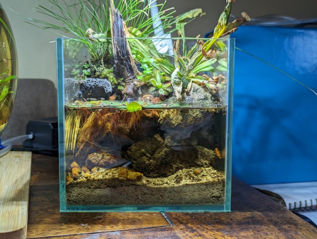 Sitting pretty and clear next to my nano shrimp bowl ☺️