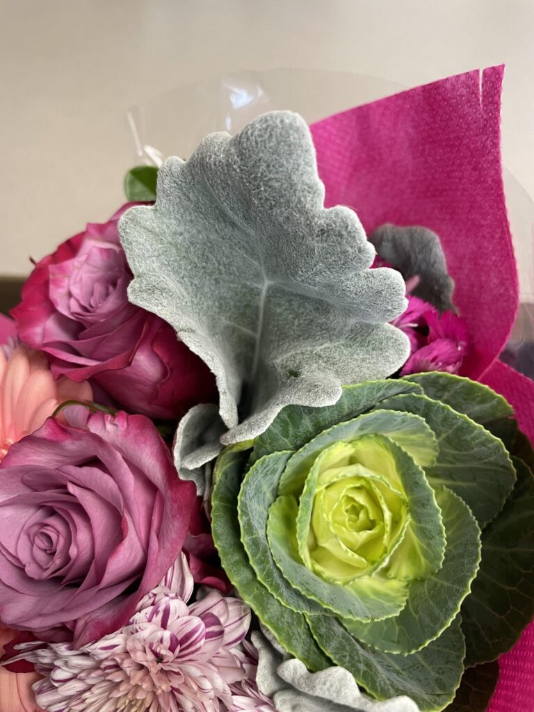 What is this fuzzy leaf?