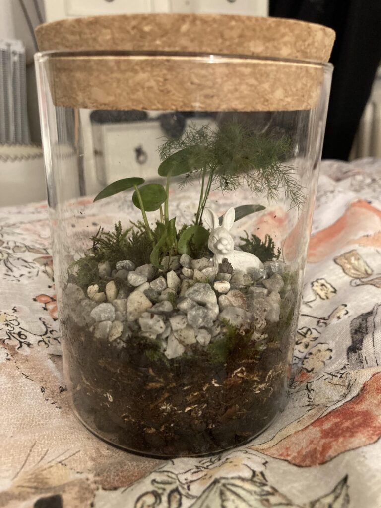 Asparagus fern and pilea one I made today