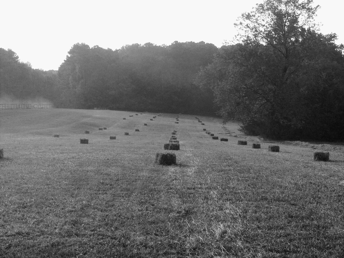 Upgraded my 60 year old Massey Ferguson MF3 baler to a newer 50 year old New Holland 273.