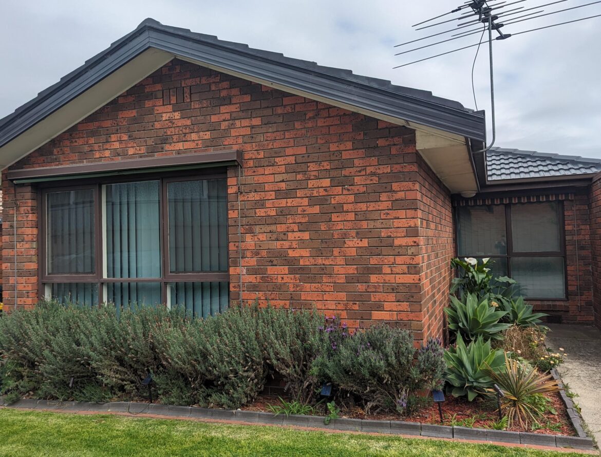 Low maintenance plants for front Low maintenance plants for front