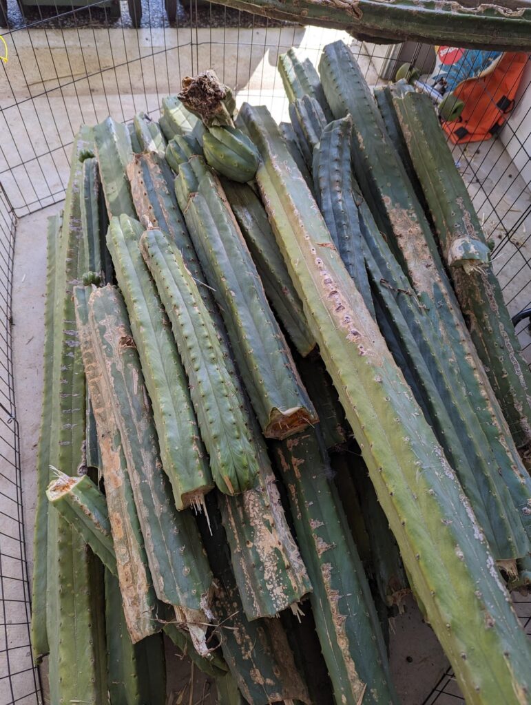 What am I dealing with here?