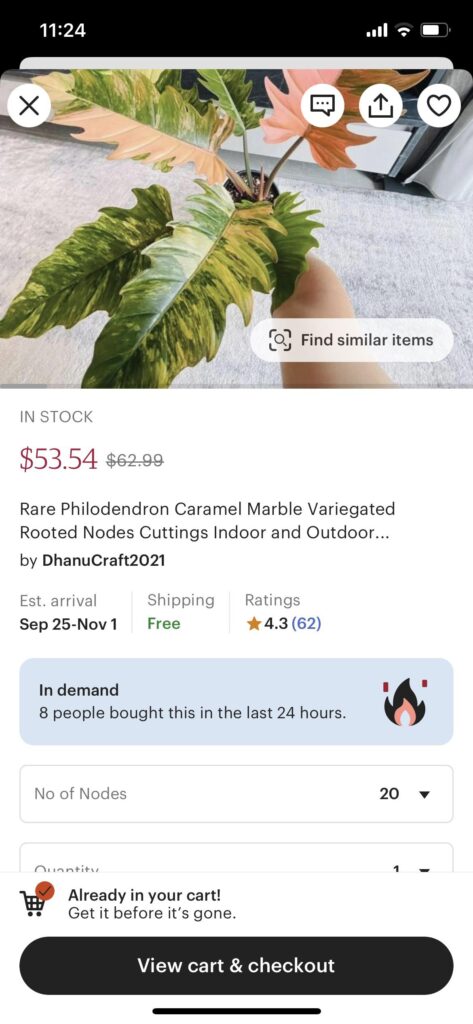 Are plant scams prevalent on Etsy Are plant scams prevalent on Etsy