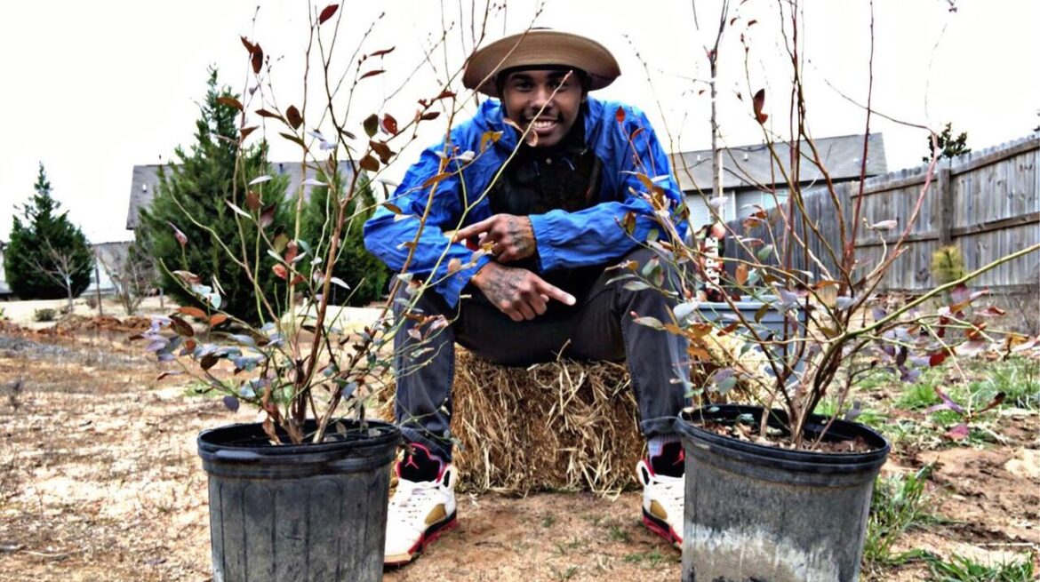 We Can’t Wait To Harvest BLUEBERRIES