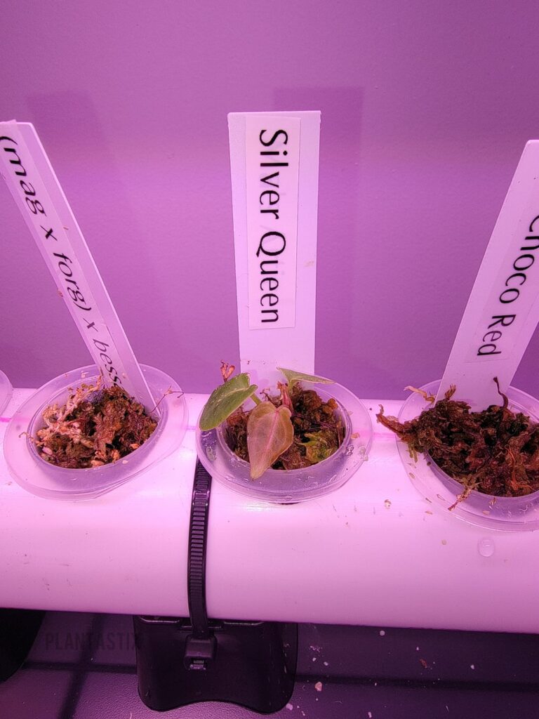 This is a journey. So far so good.