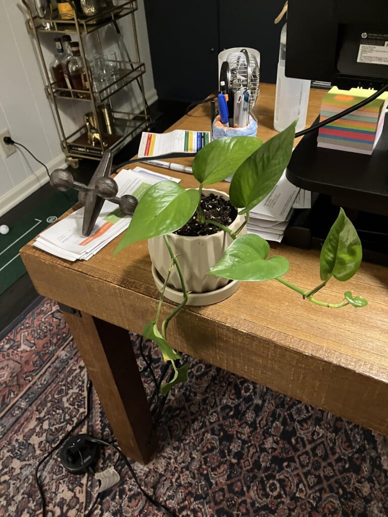 Not sure what to do with my drooper.