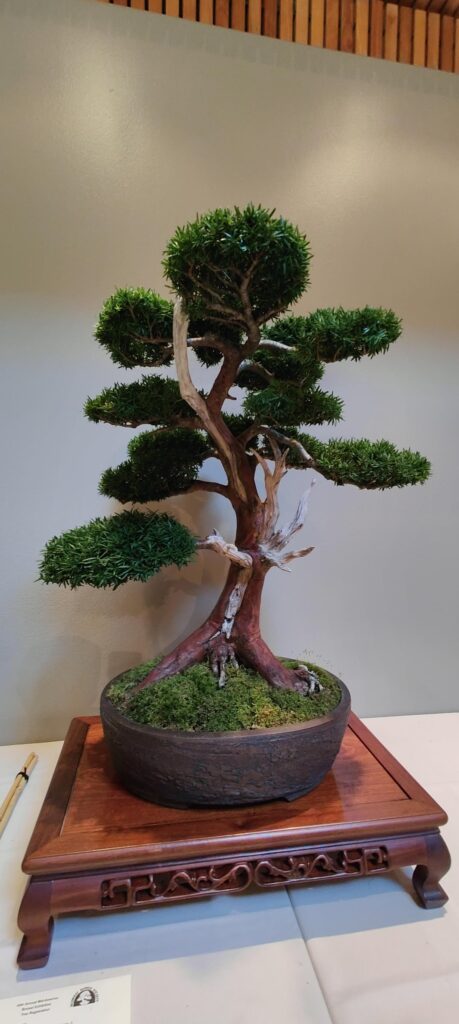 Inspo from the Mid-America Bonsai Show