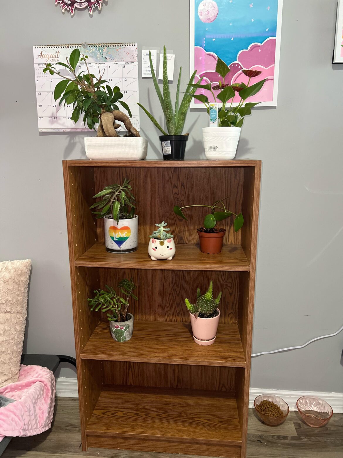 Plant shelf
