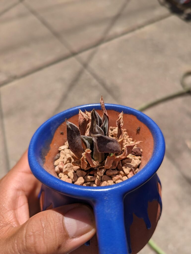 Personal Redemption 💗