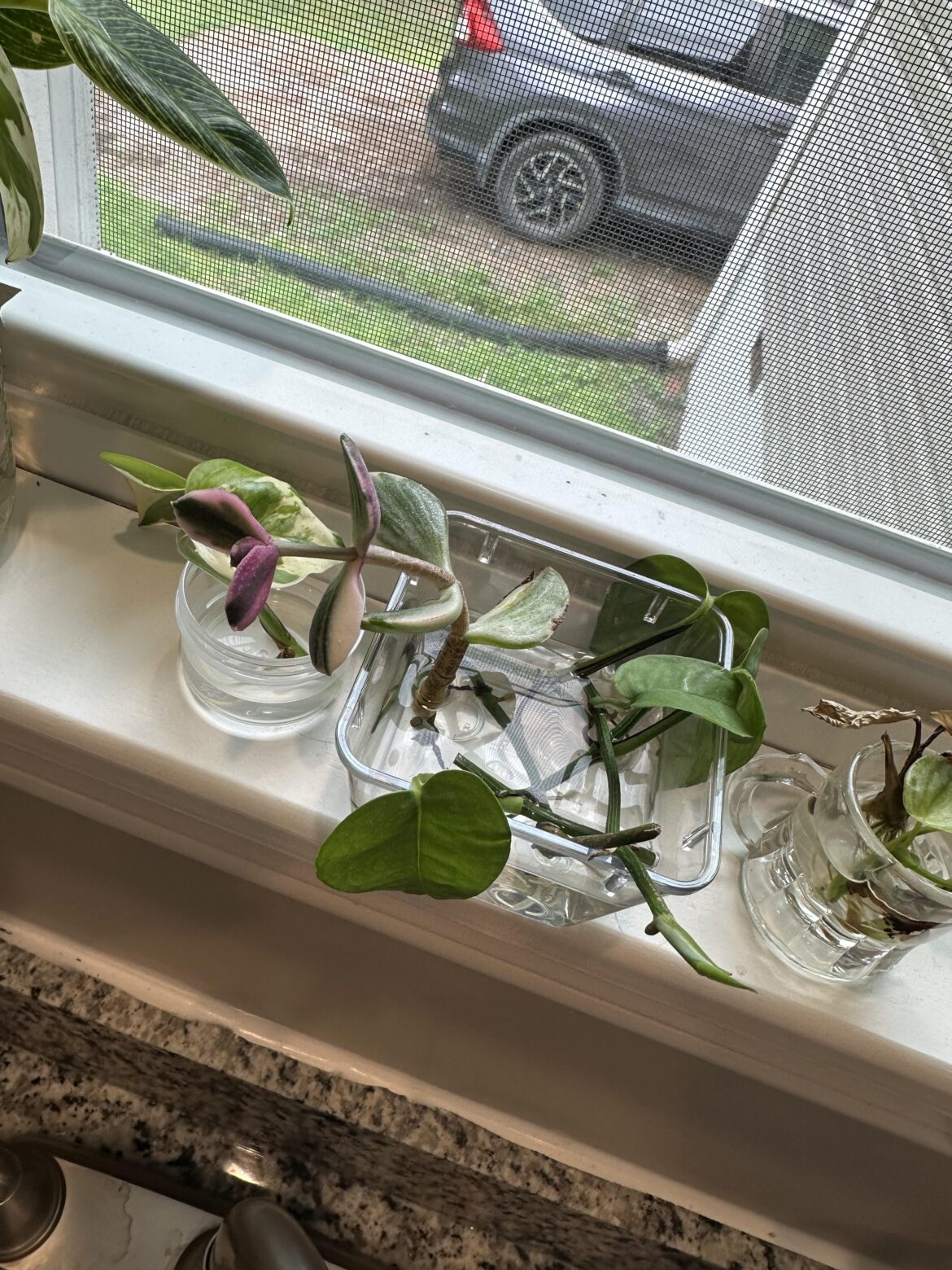 Need help Asap!! Need help Asap!!