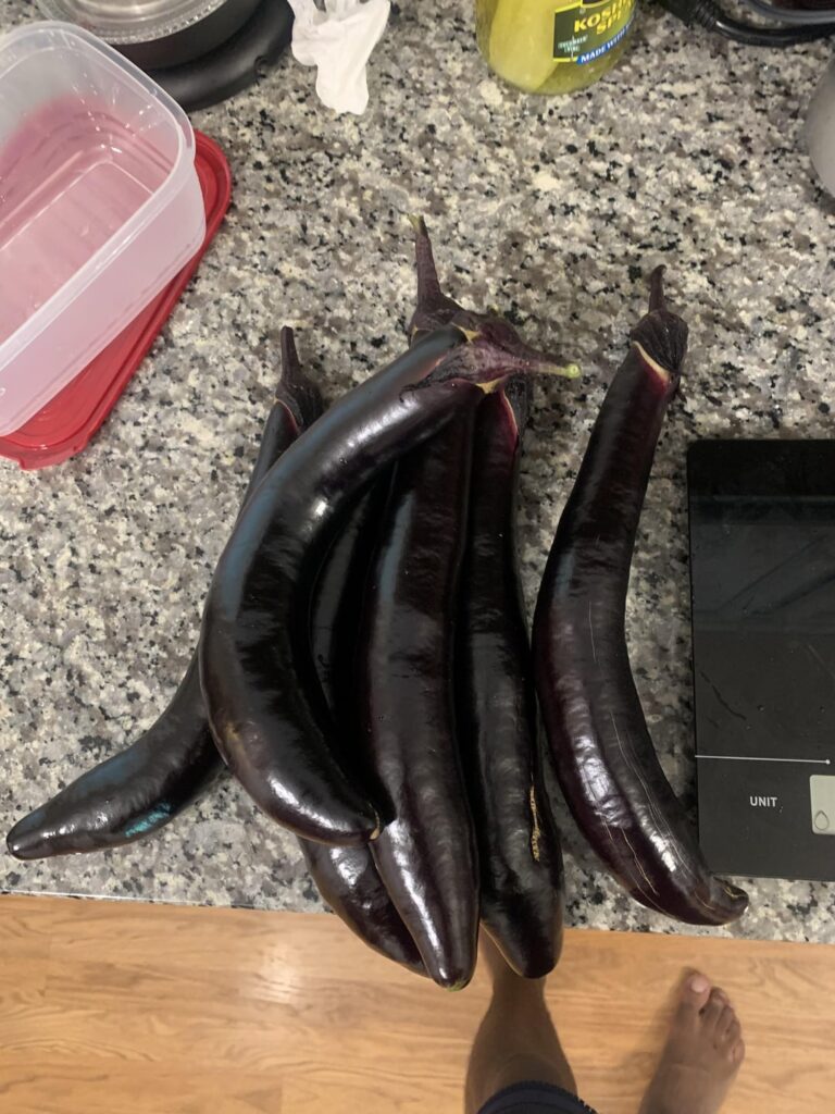 Ichiban Eggplant harvest this morning, 6 Eggplants, 2.82lbs not bad for a first time gardener. What do you think?