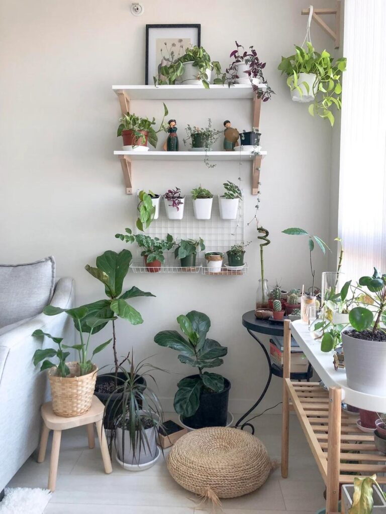 My little plant corner this morning!!!