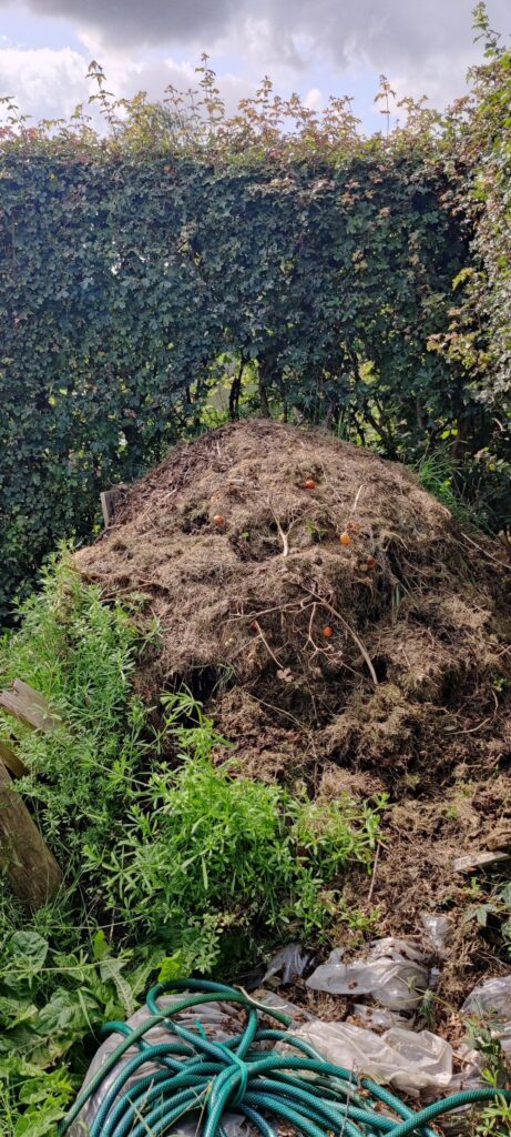 Pile collapsed, time to test! Pile collapsed, time to test!