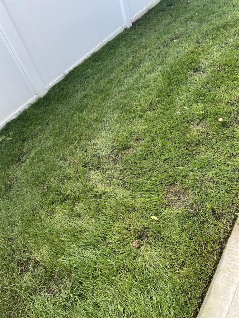 Upset, advice appreciated