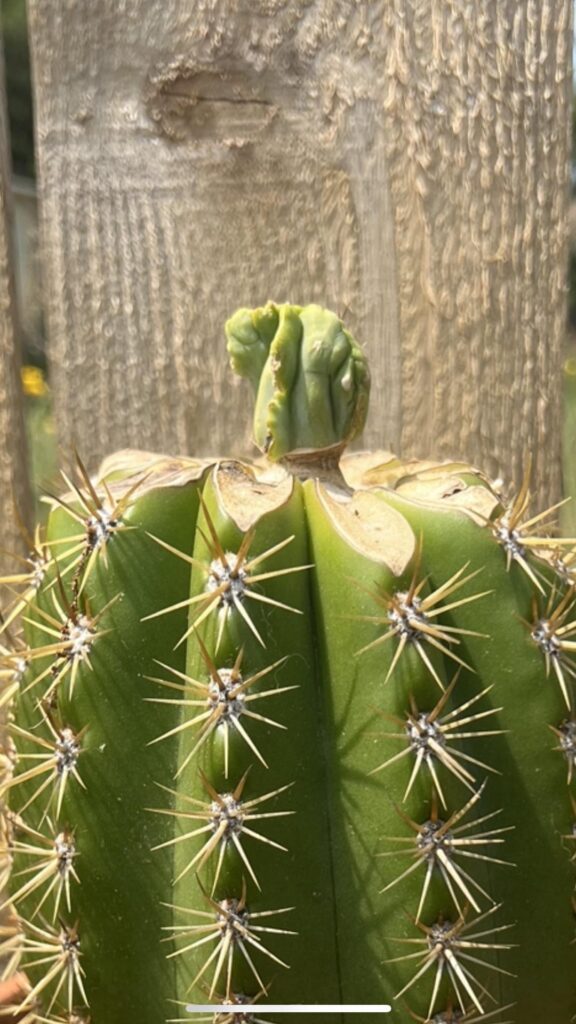 I live for this shit