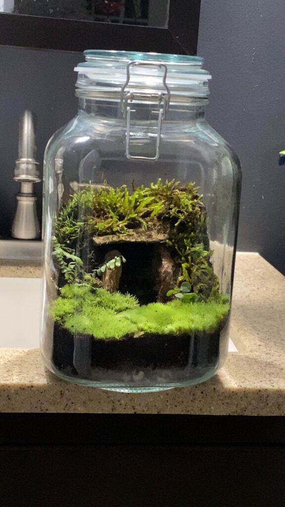 Cave in a jar!!