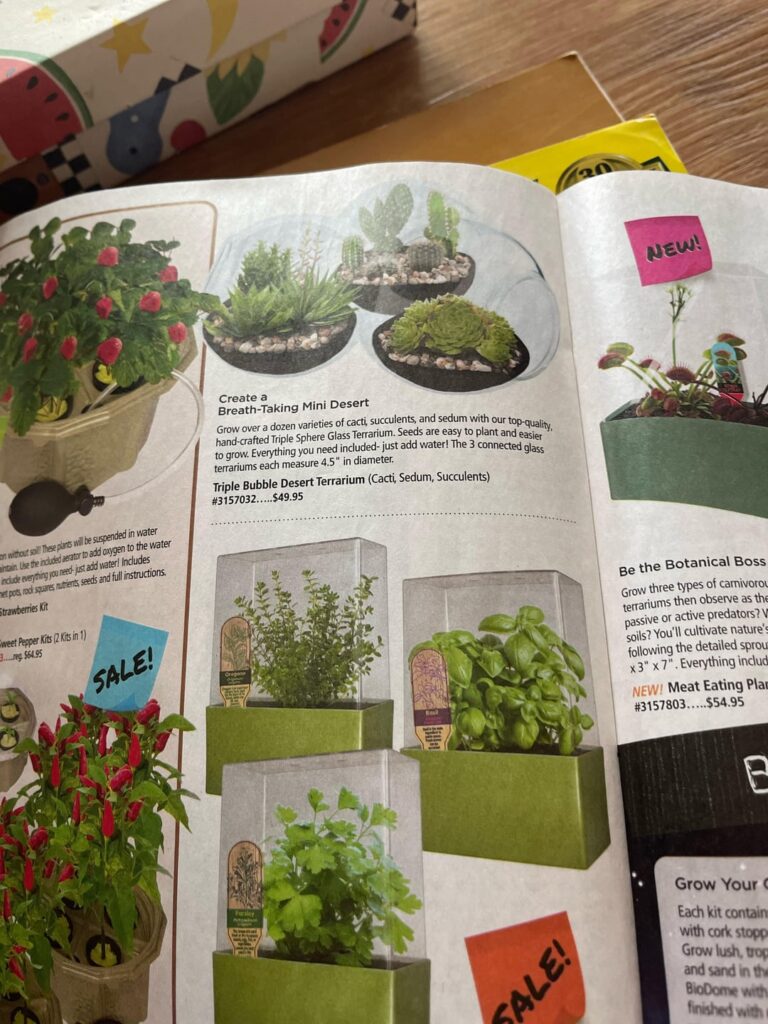 Do terrariums like these actually work, or are they scams? Asking here before I decide to ask for one.