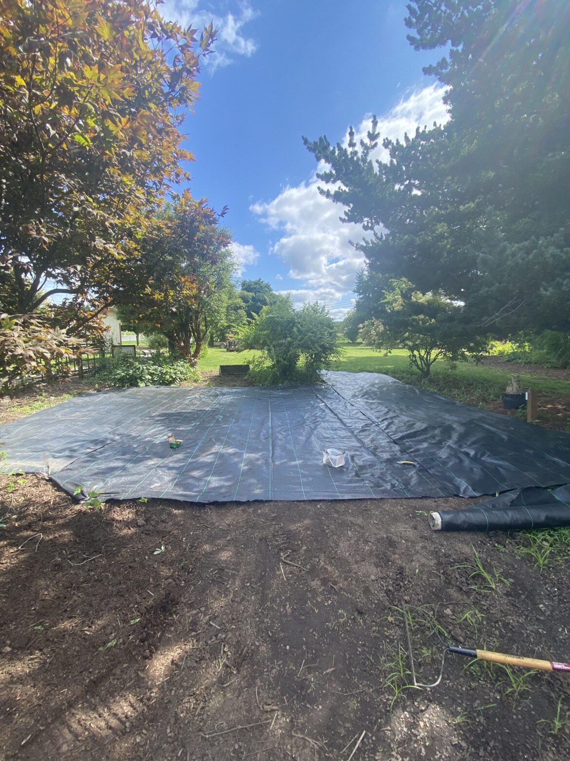 Thinking today while laying ground cover cloth…Most people have no idea what working in a nursery/gc is like. It’s not easy work and it’s not always rewarding. Then it hit me, working around all these awesome plants is the reward! There is a history behind all of the plants that we work with.