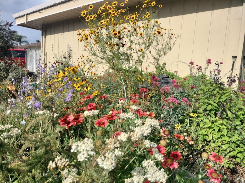 We have a lawnmower but we don't use it.