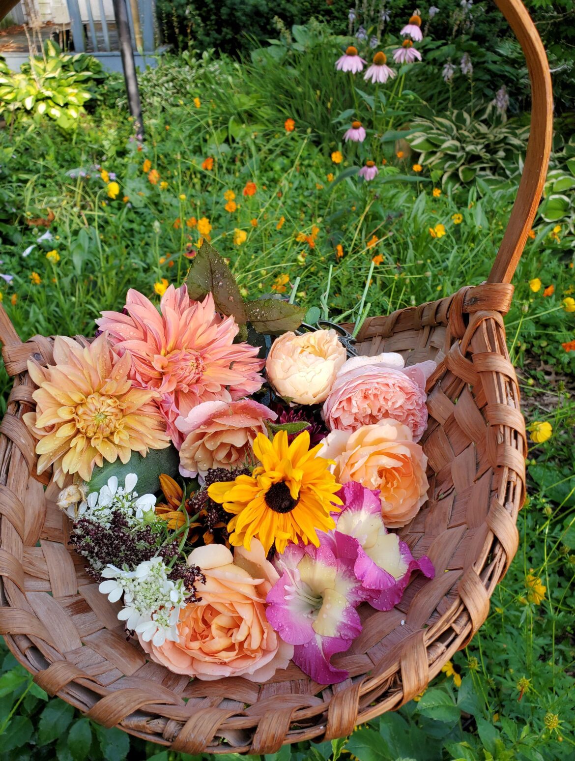 For me, summer pickings can't be beat. <3