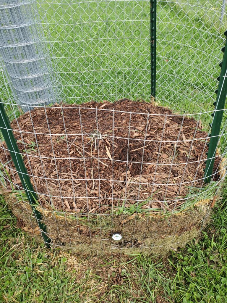 Started my first compost pile yesterday. Any thoughts or tips to improve?