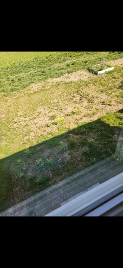 Before and after of my backyard in Ontario Canada