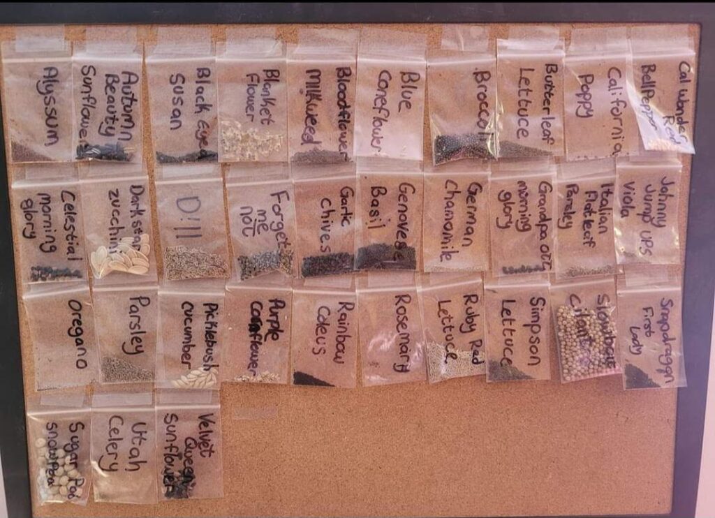 I like to collect seeds from everything I grow. Anyone else?