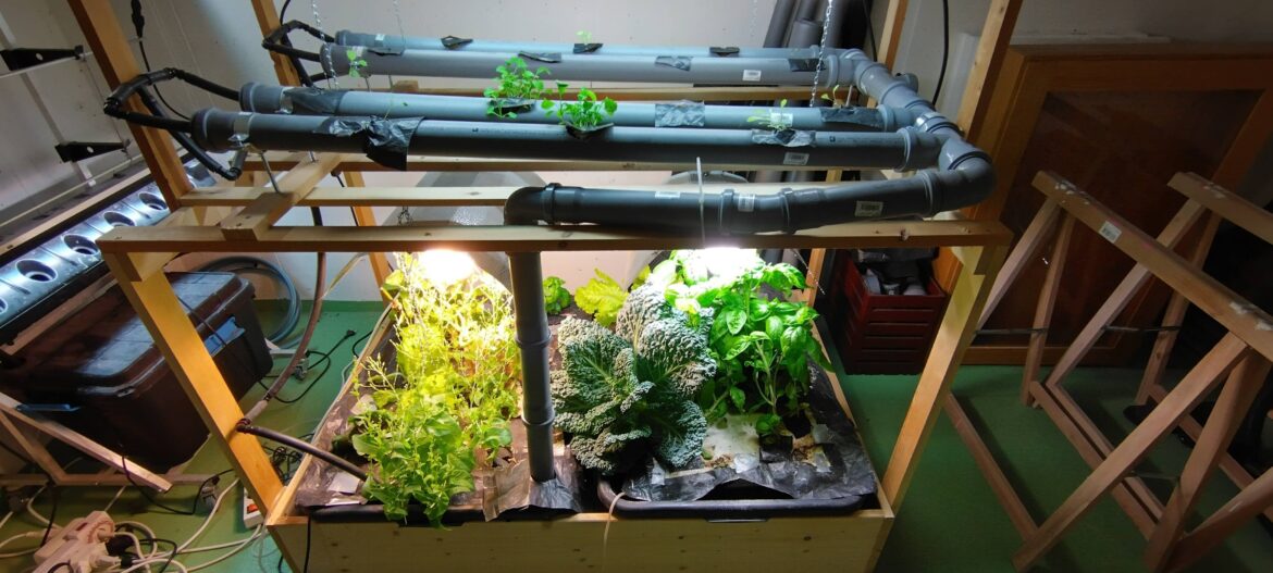 My setup: looking for suggestions/feedback