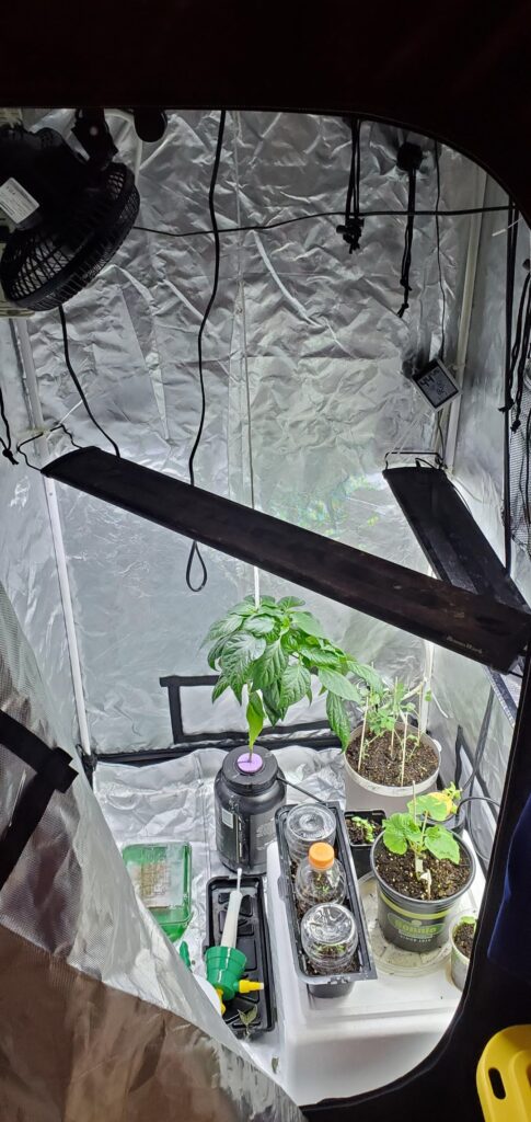 Slow progress is progress I guess.