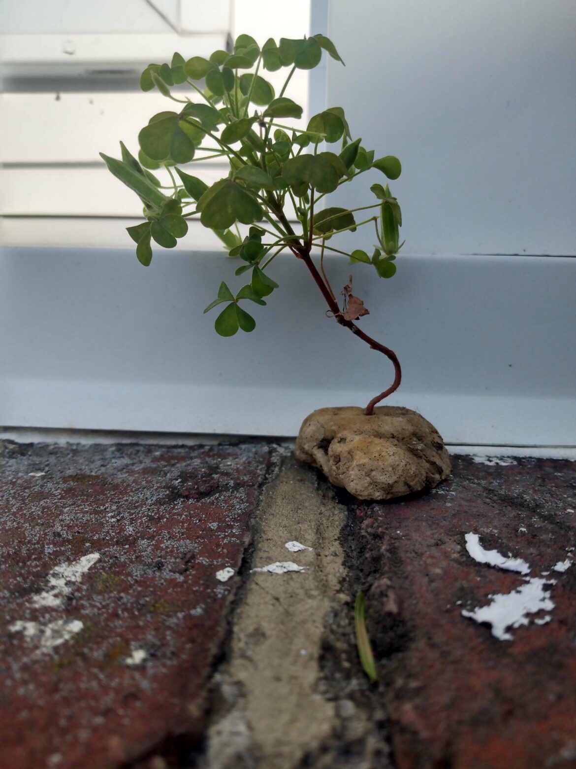 How interesting....? #buthow?