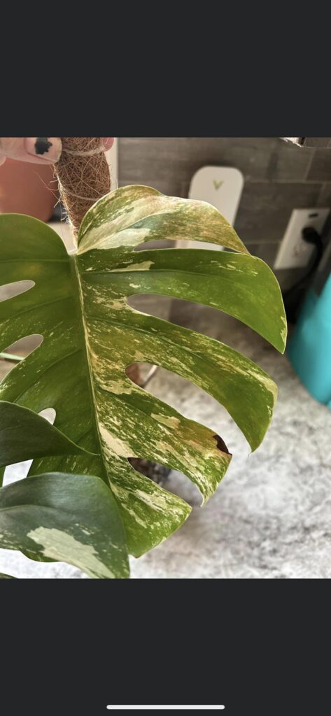 When people are so adamantly wrong 😒